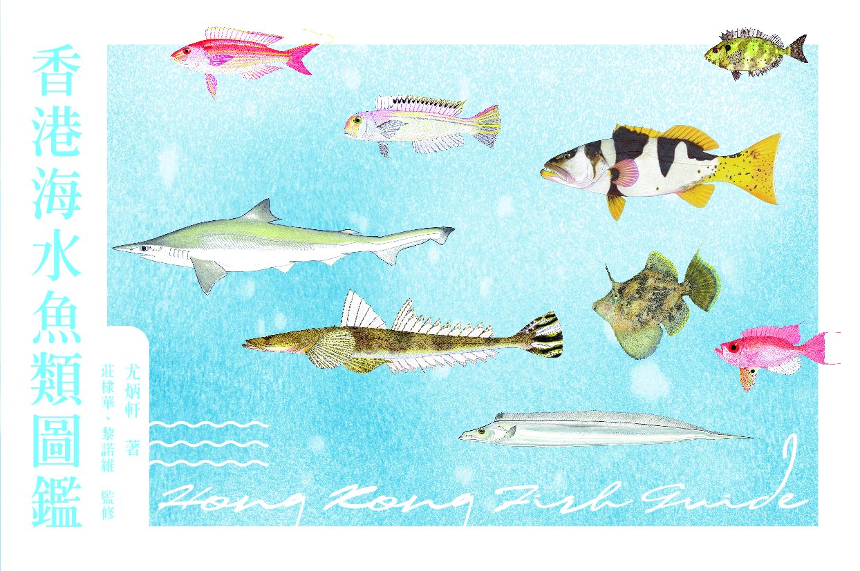 香港海水魚類圖鑑
